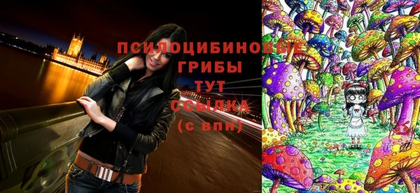 ешки Горнозаводск
