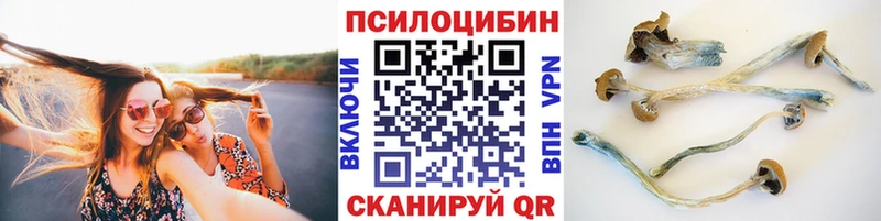 Псилоцибиновые грибы прущие грибы  Холмск 